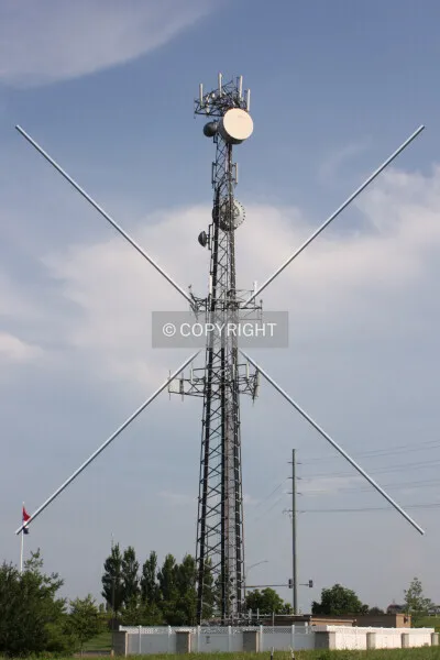 Photo 259-313-659