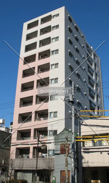 Photo 259-317-460