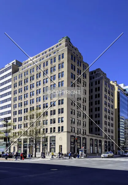 The Tower Building