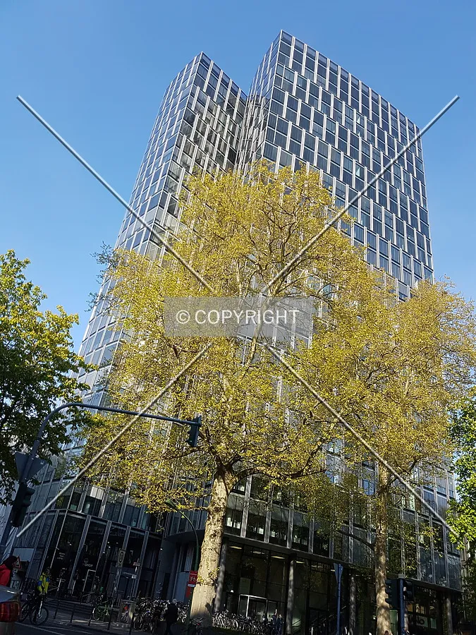 Photo 259-968-652