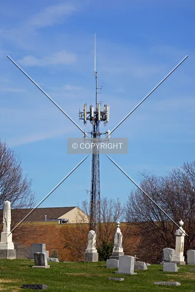 Photo 260-032-991