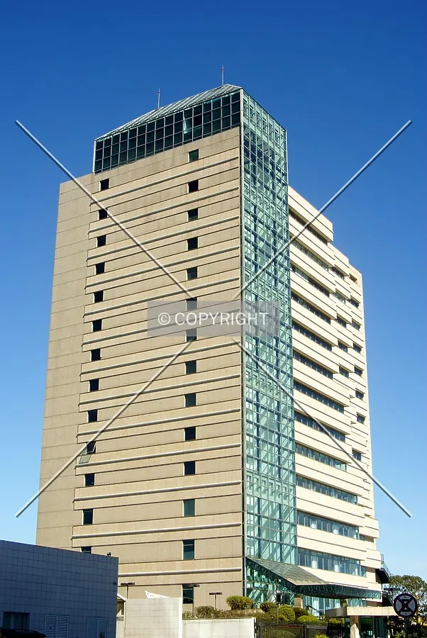 Looking up from Dolores Alcaraz Caldas Street