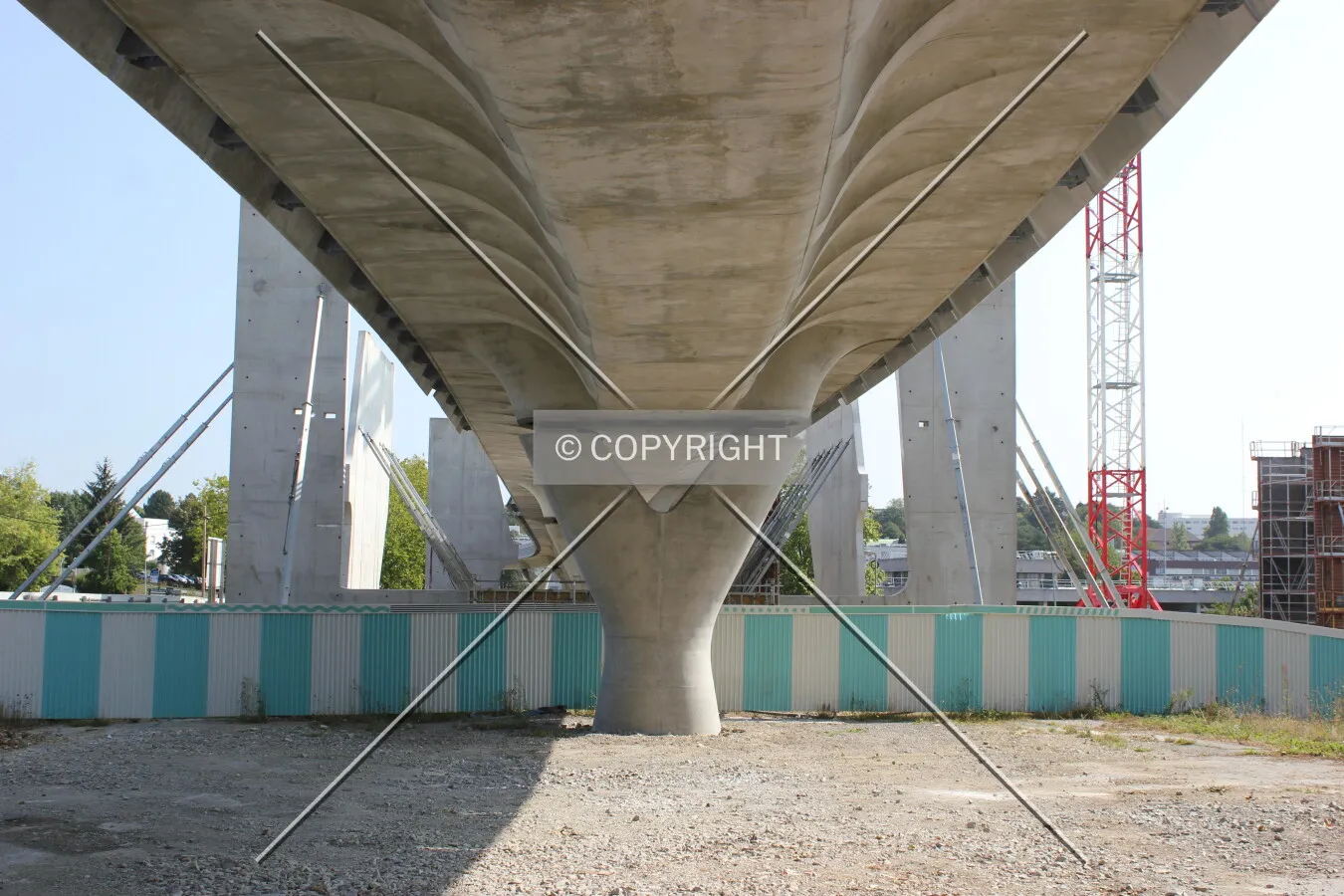 Photo 260-147-218