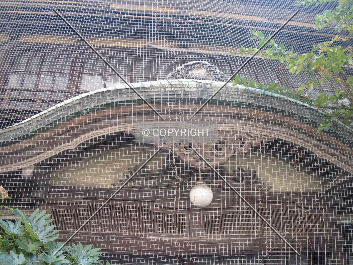 Photo 260-256-724
