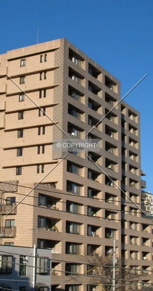 Photo 260-488-878