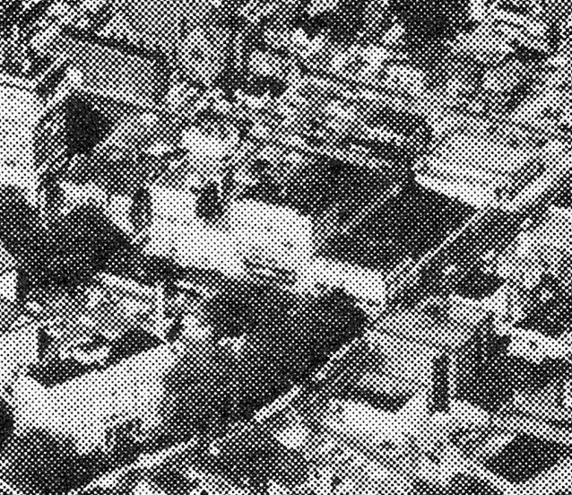 Photo 260-500-439