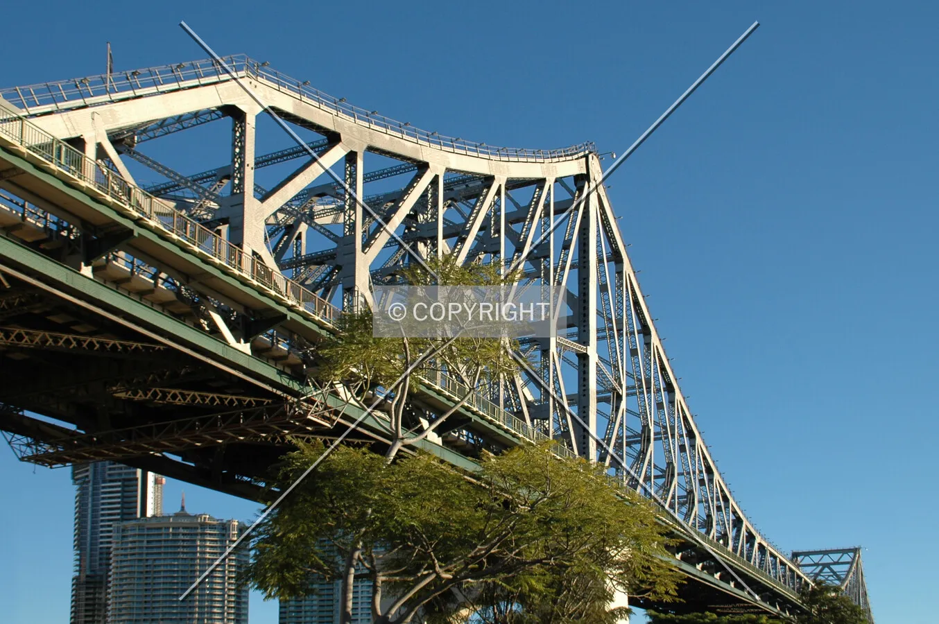 Looking up from Kangaroo Point