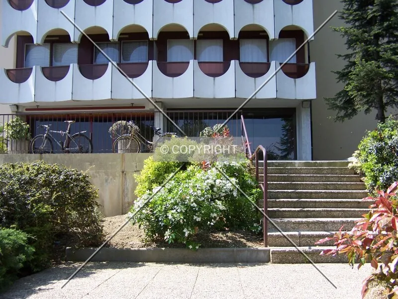 Photo 260-729-795