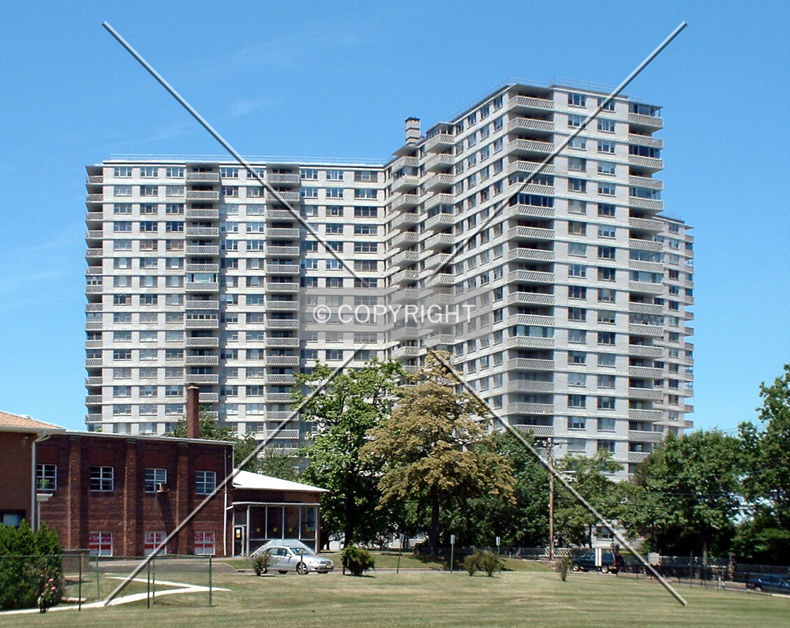 View from the south