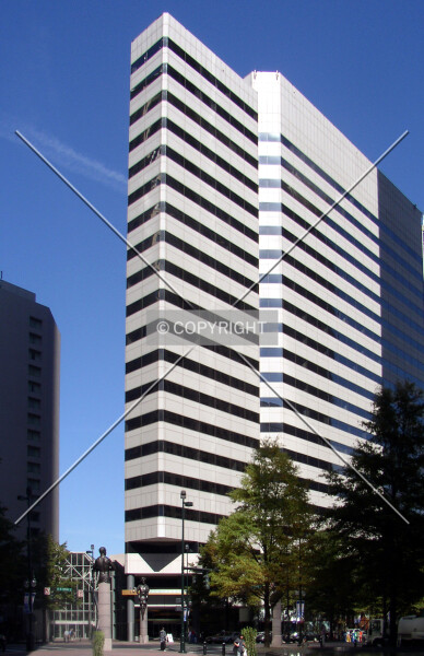 Photo 261-114-959