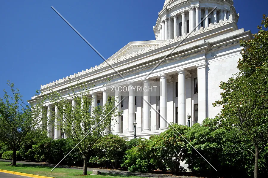 Photo 261-135-091
