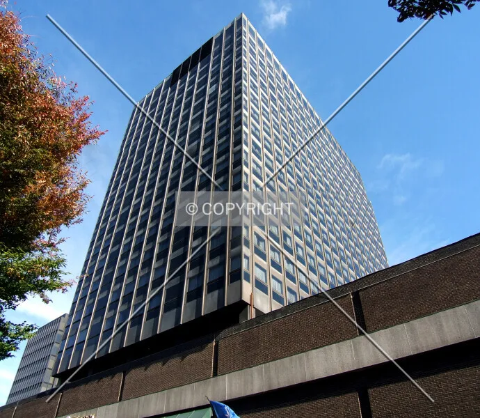 Photo 261-209-753