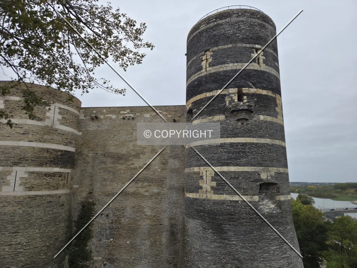 Photo 261-277-768