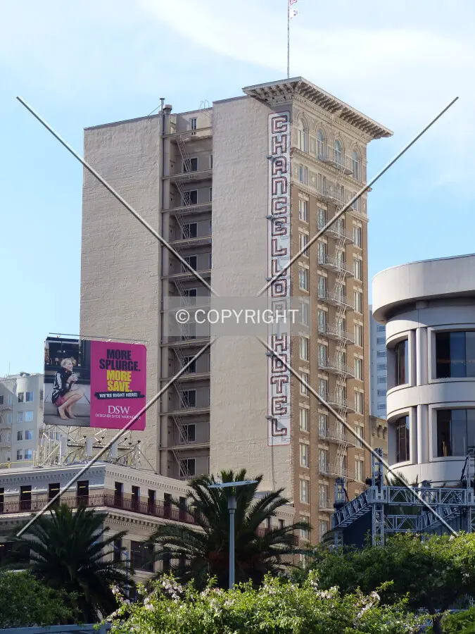 Photo 262-029-772