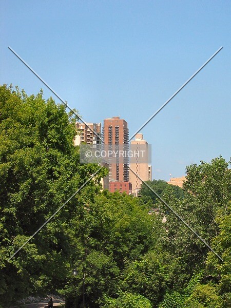 Photo 262-055-923