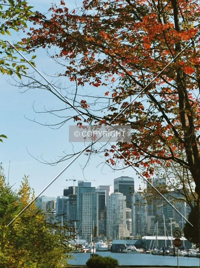View across Coal Harbour from Stanley Park