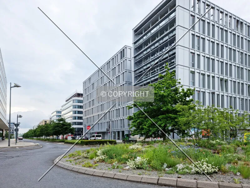 Photo 262-173-741