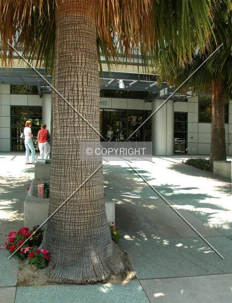 Photo 262-323-334