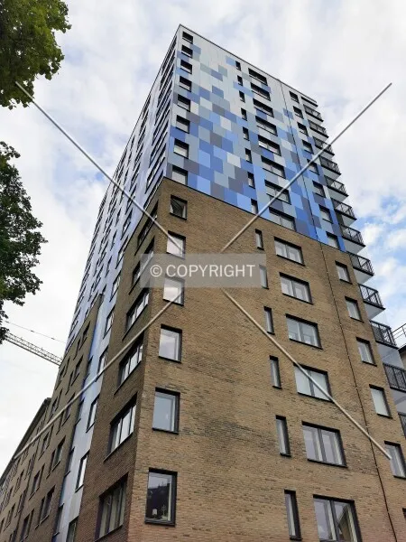 Photo 262-382-672