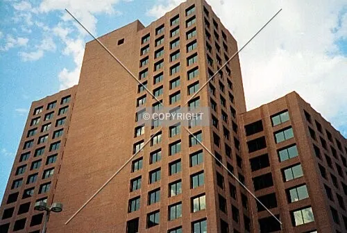 Photo 262-397-727