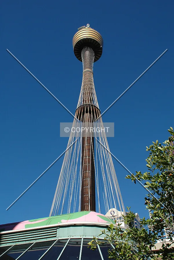 Photo 262-424-329