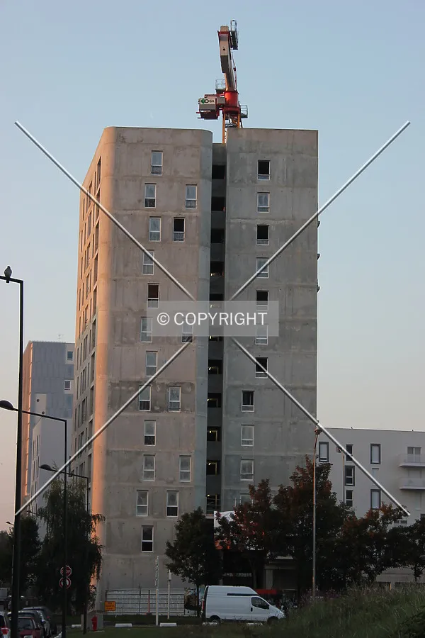 Photo 262-436-096