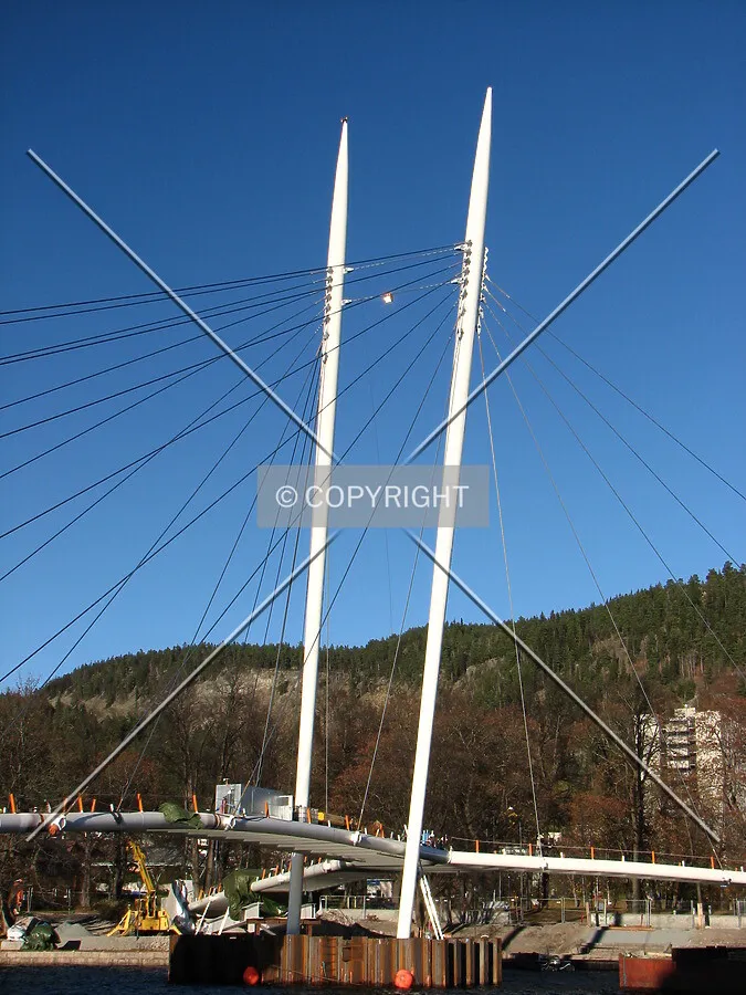 View of the pylons