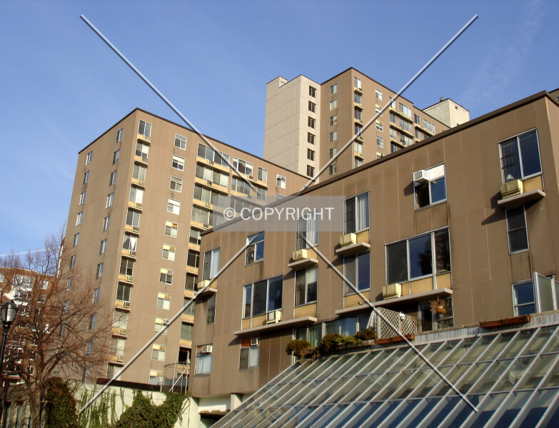 Photo 262-510-448