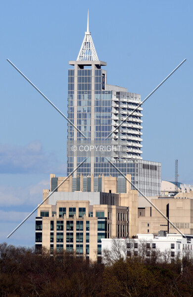 Photo 262-526-444