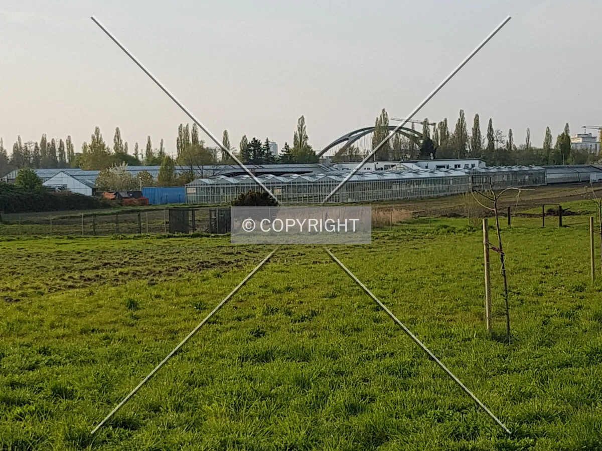 Photo 026-274-392