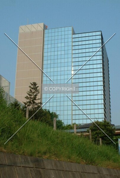 Photo 262-769-547