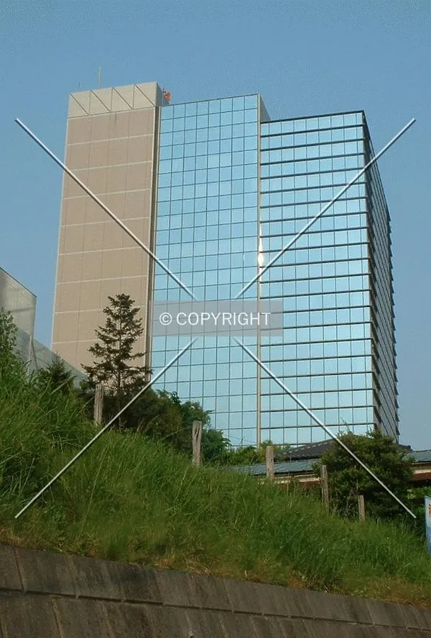 Photo 262-769-547