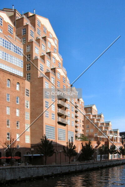 Photo 262-830-622