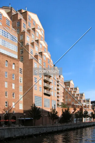 Photo 262-830-622