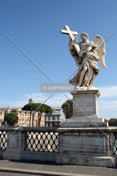 Photo 262-857-481