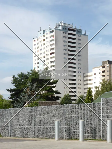 Photo 262-912-835
