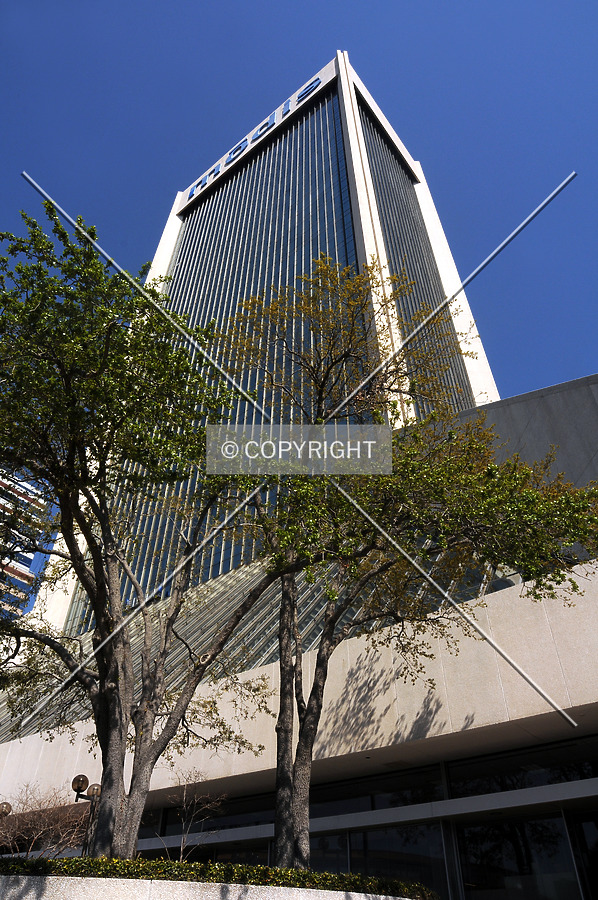 Looking up from the southeast