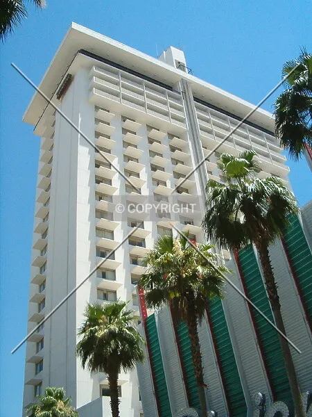 Photo 262-943-495