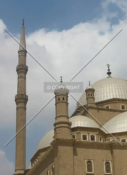 Photo 026-305-684