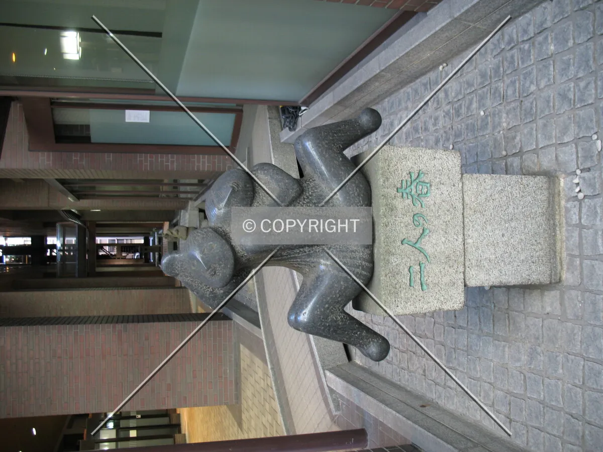 Photo 263-110-399