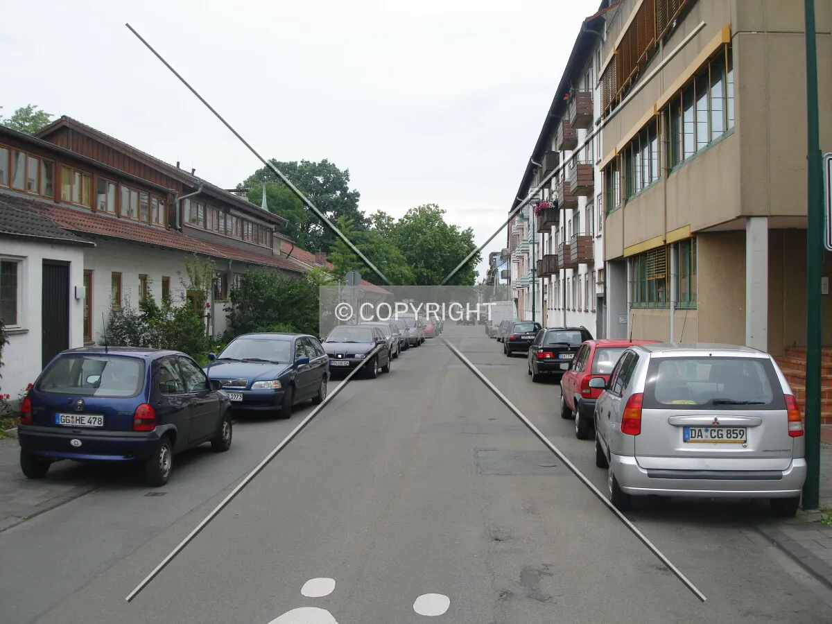 Photo 263-205-452