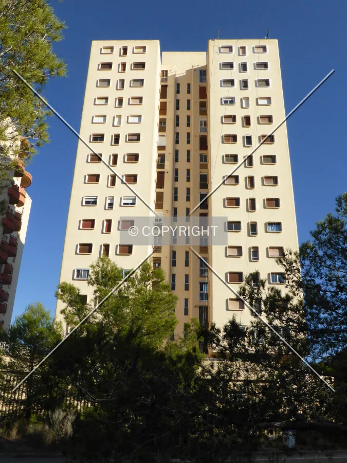 Photo 263-281-508