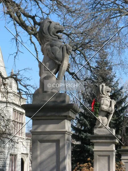 Photo 263-906-479
