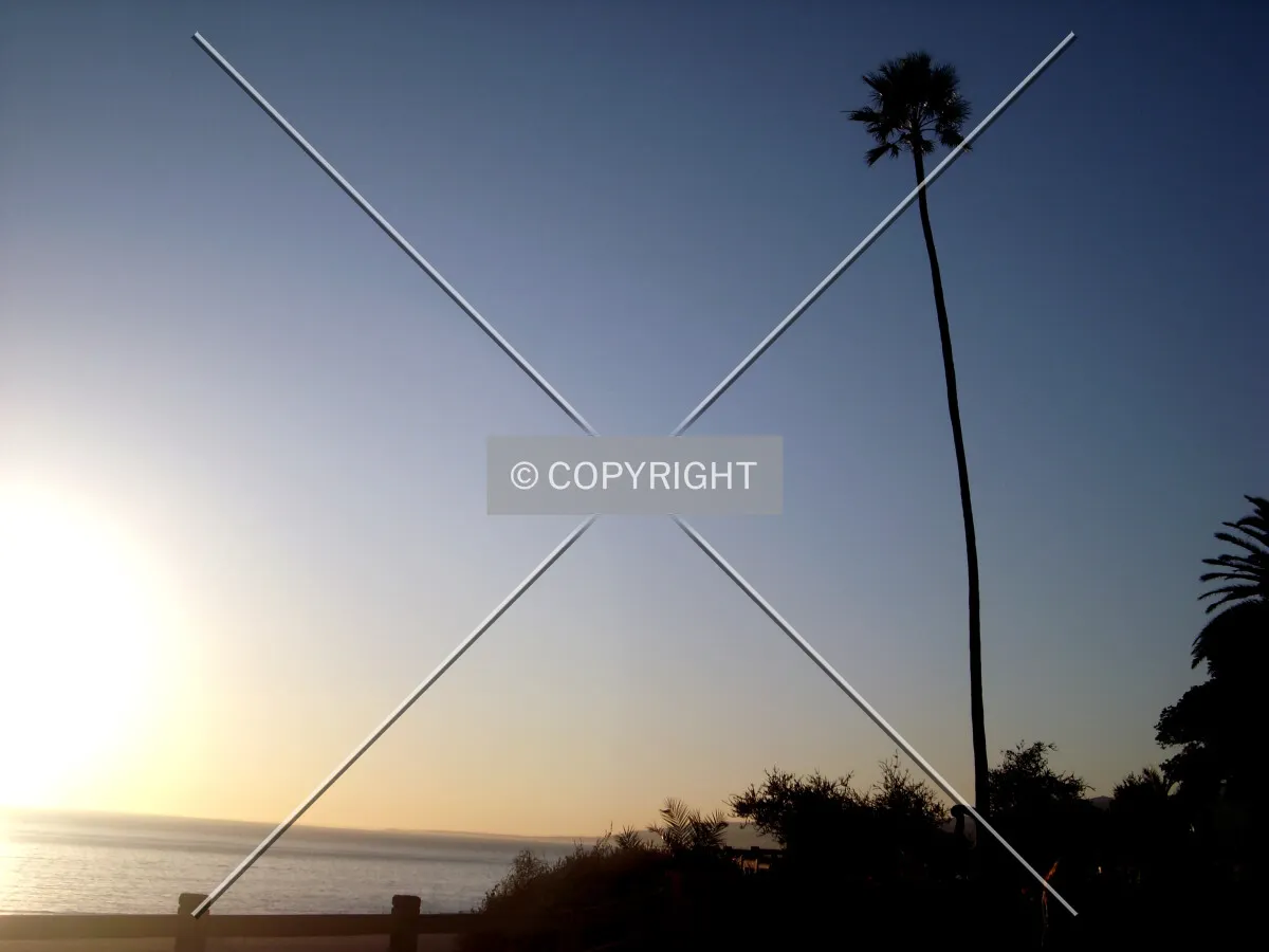Photo 263-950-473