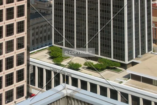 Trees on the southwest corner of the podium, from the City-County Building Observation Deck