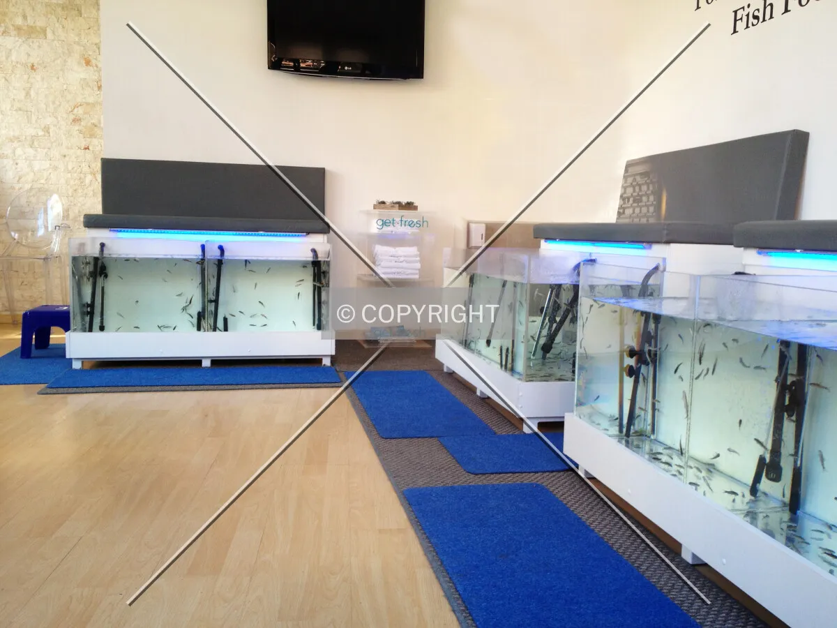 A fish spa shop
