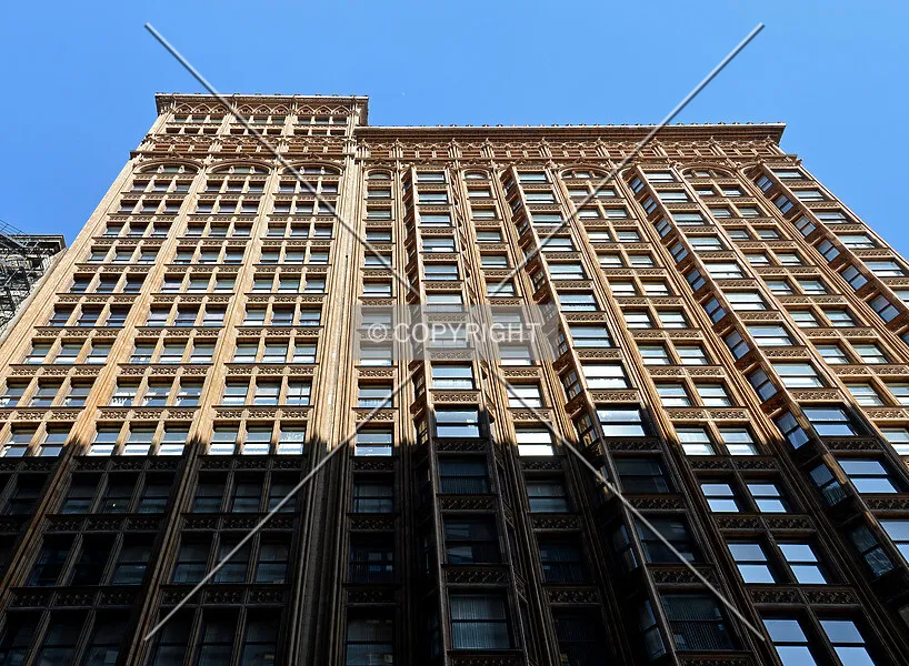 Photo 264-099-824