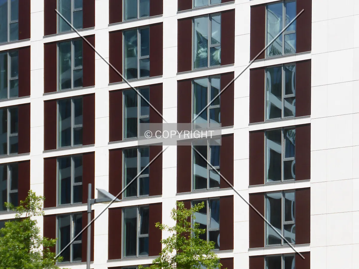 Photo 264-147-435