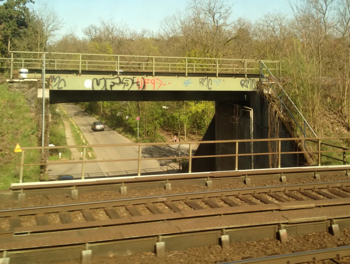 Photo 264-148-215