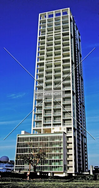 Photo 264-220-966